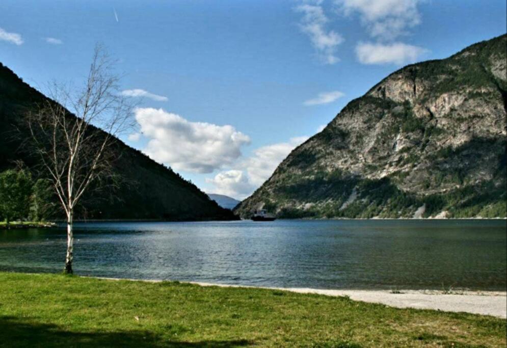 Kvammehuset Pa Gamle Laerdalsoyri 빌라 외부 사진