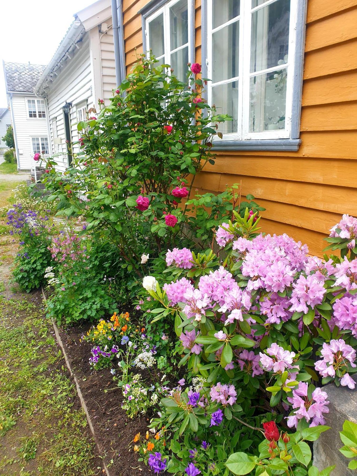 Kvammehuset Pa Gamle Laerdalsoyri 빌라 외부 사진